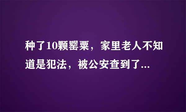 种了10颗罂粟，家里老人不知道是犯法，被公安查到了，该怎么办