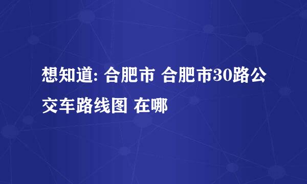 想知道: 合肥市 合肥市30路公交车路线图 在哪