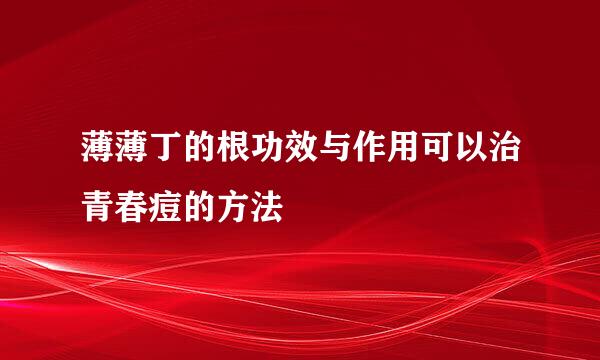 薄薄丁的根功效与作用可以治青春痘的方法