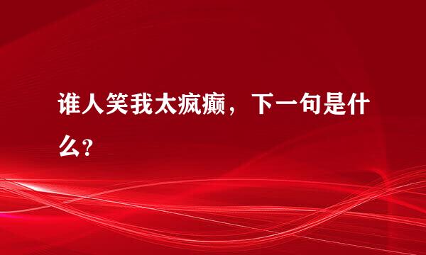 谁人笑我太疯癫，下一句是什么？