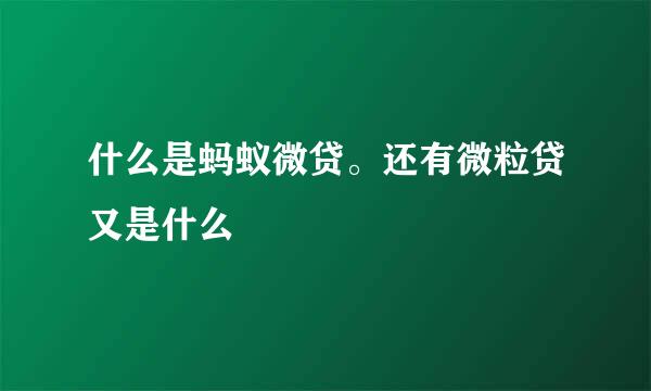 什么是蚂蚁微贷。还有微粒贷又是什么