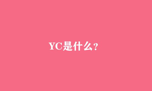 YC是什么？