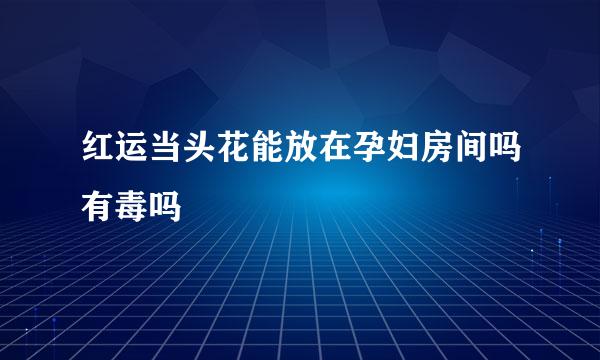 红运当头花能放在孕妇房间吗有毒吗