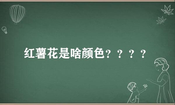 红薯花是啥颜色？？？？