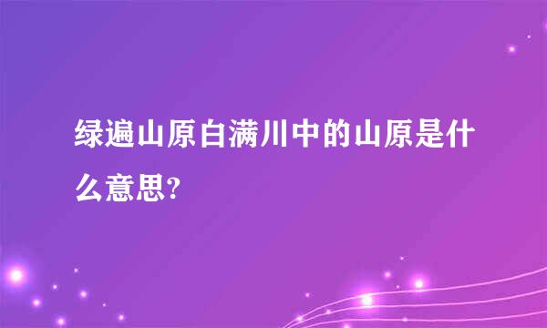 绿遍山原白满川中的山原是什么意思?