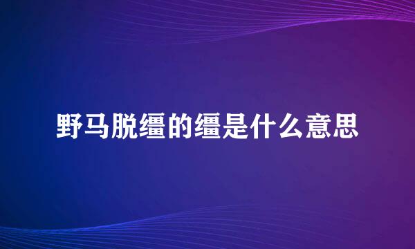 野马脱缰的缰是什么意思