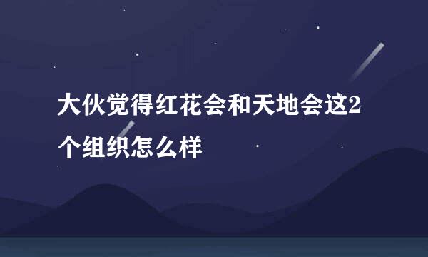 大伙觉得红花会和天地会这2个组织怎么样