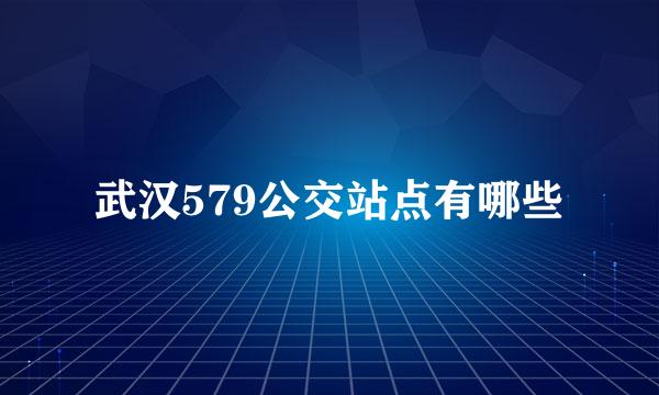 武汉579公交站点有哪些