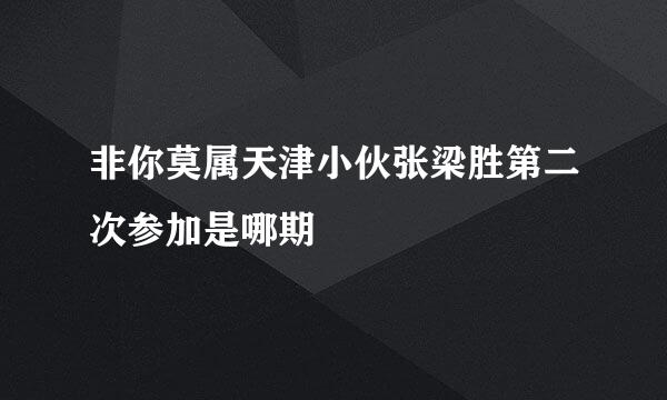 非你莫属天津小伙张梁胜第二次参加是哪期