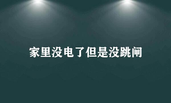 家里没电了但是没跳闸