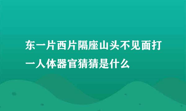 东一片西片隔座山头不见面打一人体器官猜猜是什么