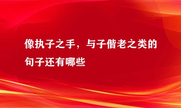 像执子之手，与子偕老之类的句子还有哪些