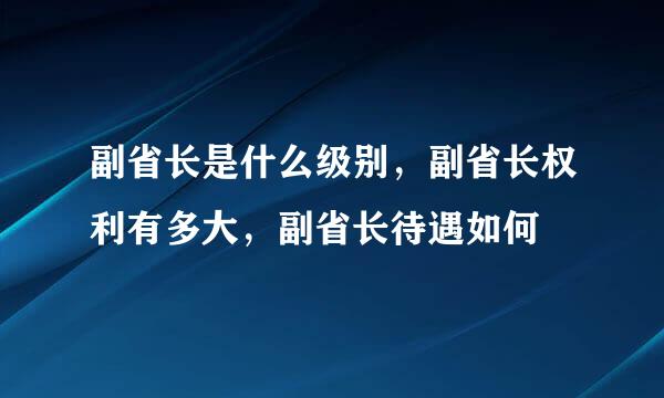 副省长是什么级别，副省长权利有多大，副省长待遇如何