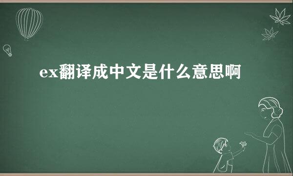 ex翻译成中文是什么意思啊