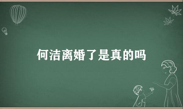 何洁离婚了是真的吗