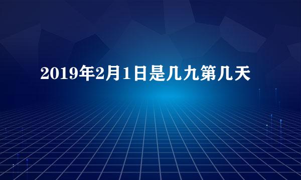 2019年2月1日是几九第几天