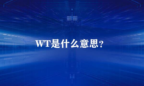 WT是什么意思？