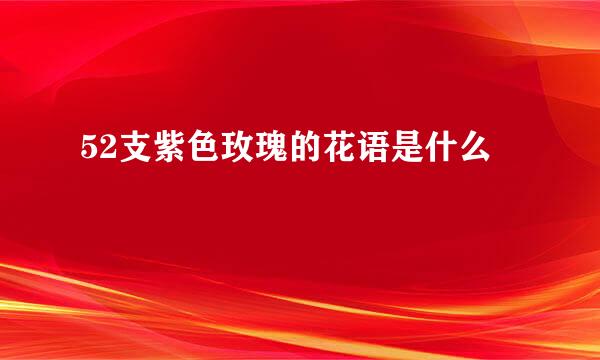 52支紫色玫瑰的花语是什么