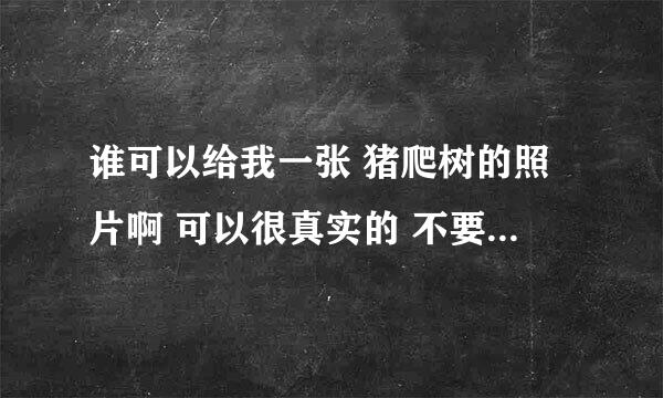 谁可以给我一张 猪爬树的照片啊 可以很真实的 不要搞笑的那种