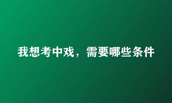 我想考中戏，需要哪些条件