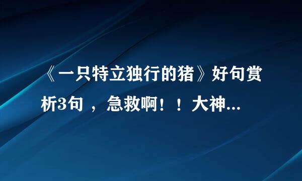 《一只特立独行的猪》好句赏析3句 ，急救啊！！大神们出手帮帮忙，不要再隐居山林了。真的急用啊！0.0