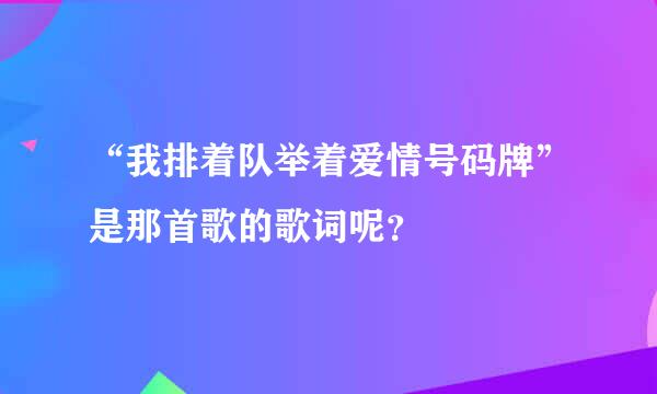 “我排着队举着爱情号码牌”是那首歌的歌词呢？