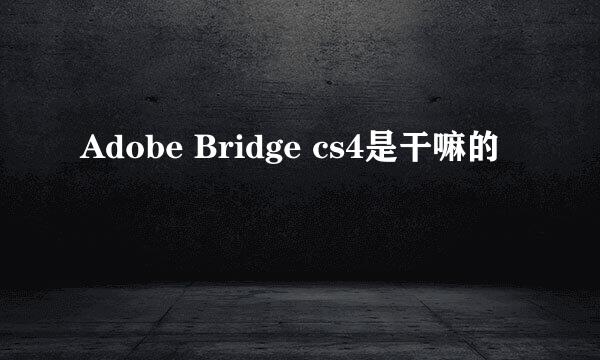 Adobe Bridge cs4是干嘛的