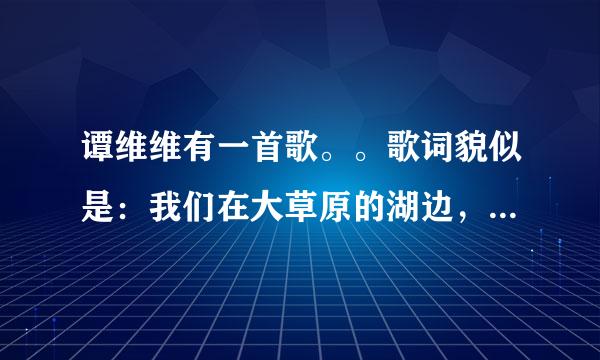 谭维维有一首歌。。歌词貌似是：我们在大草原的湖边，看鸟飞回来。。。这是哪首歌？