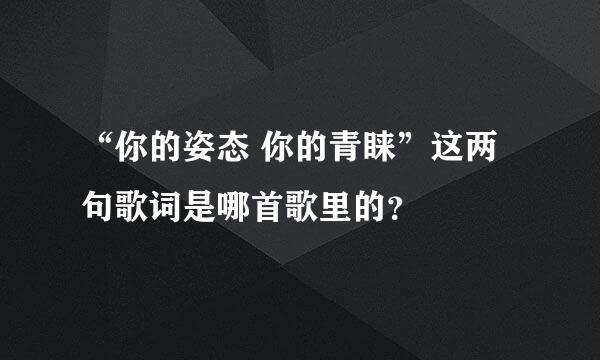 “你的姿态 你的青睐”这两句歌词是哪首歌里的？