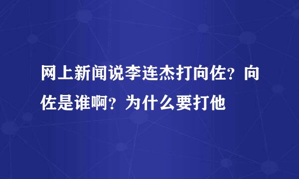 网上新闻说李连杰打向佐？向佐是谁啊？为什么要打他