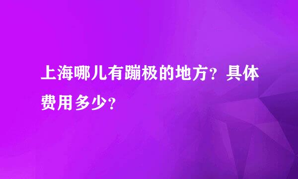 上海哪儿有蹦极的地方？具体费用多少？