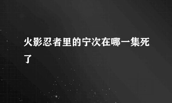 火影忍者里的宁次在哪一集死了