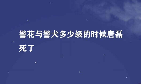 警花与警犬多少级的时候唐磊死了