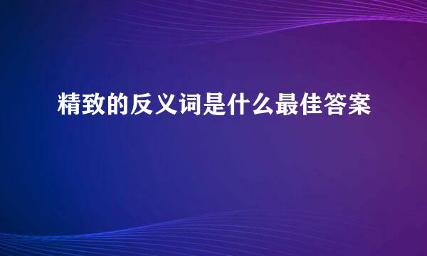 精致的反义词是什么最佳答案