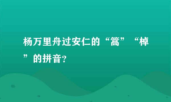 杨万里舟过安仁的“篙”“棹”的拼音？