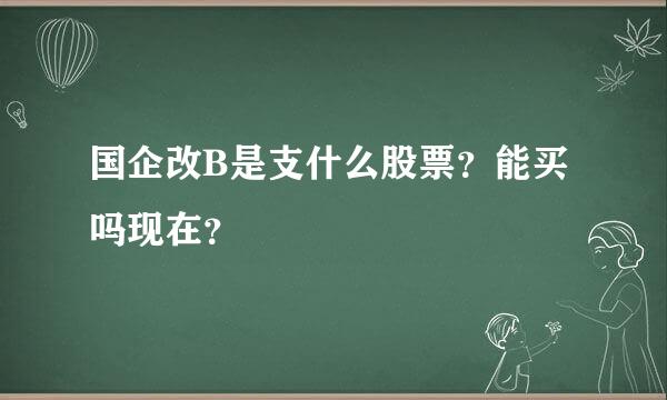 国企改B是支什么股票？能买吗现在？