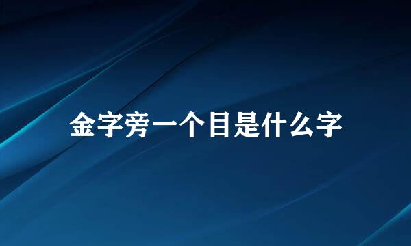 金字旁一个目是什么字