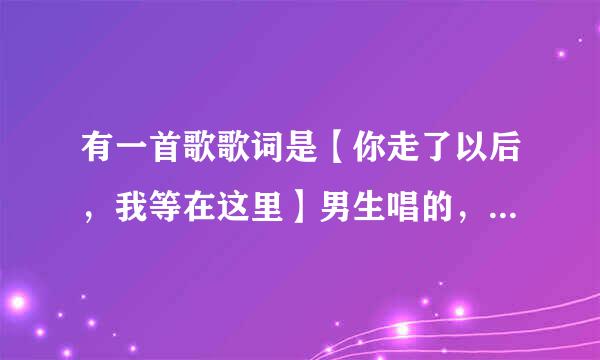 有一首歌歌词是【你走了以后，我等在这里】男生唱的，歌叫什么名字？