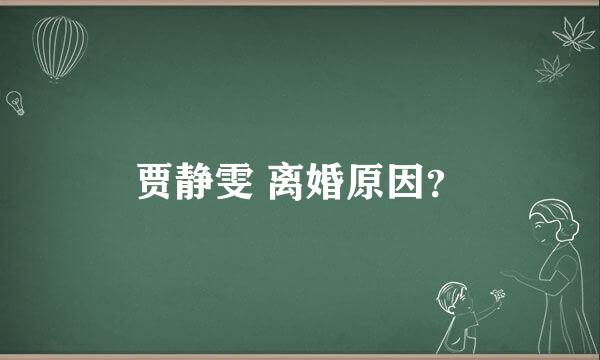 贾静雯 离婚原因？