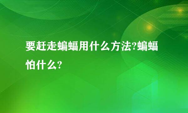 要赶走蝙蝠用什么方法?蝙蝠怕什么?