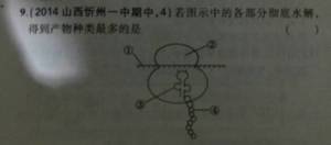 这是什么？分别是什么结构？