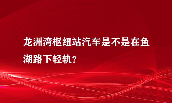 龙洲湾枢纽站汽车是不是在鱼湖路下轻轨？