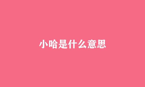 小哈是什么意思