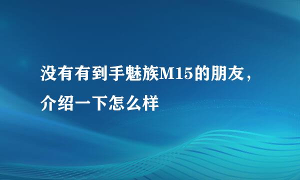 没有有到手魅族M15的朋友，介绍一下怎么样