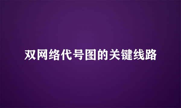 双网络代号图的关键线路