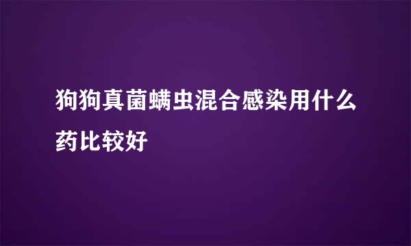 狗狗真菌螨虫混合感染用什么药比较好