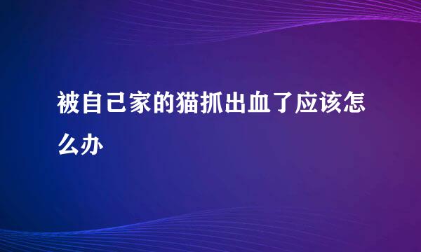 被自己家的猫抓出血了应该怎么办