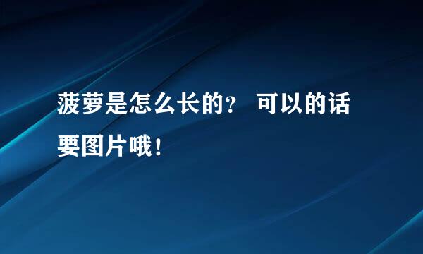 菠萝是怎么长的？ 可以的话要图片哦！