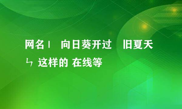 网名 |▍向日葵开过゛旧夏天ㄣ 这样的 在线等