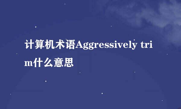 计算机术语Aggressively trim什么意思